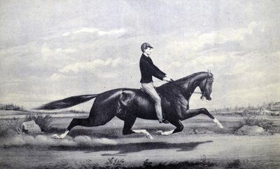 Celebrated Horse Dexter, The King of the Turf by N. and Ives, J.M. Currier